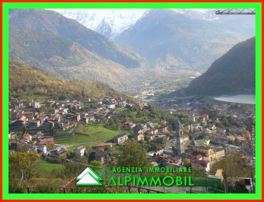immagine annuncio 12 di 14