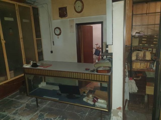 immagine annuncio 2 di 14