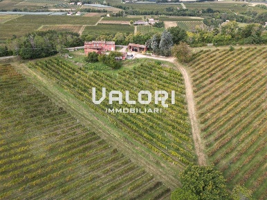 Foto Terreno agricolo in Via San Biagio Antico, Faenza in vendita