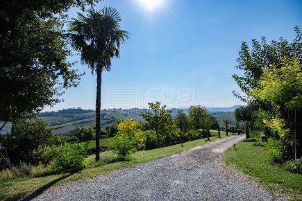 Foto Casa indipendente in Via Bergullo, Imola Tre Monti di 320 m²
