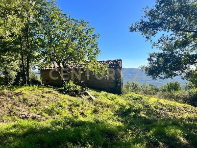 Foto Rustico in strada vicinale petricci snc, Semproniano Petricci di 45 m²