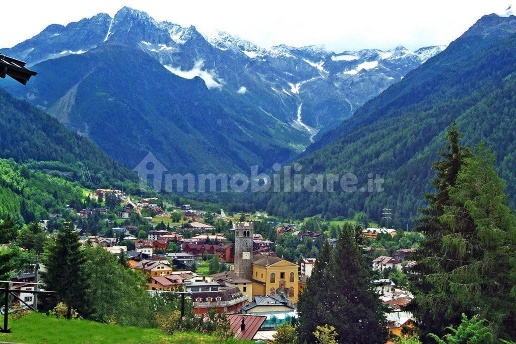 immagine annuncio 1 di 8