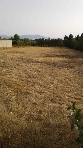 Foto Terreno agricolo a San Sperate di 3800 m² in vendita
