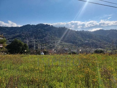 Foto Terreno agricolo in via udine  1, Camporosso Centro di 1500 m²