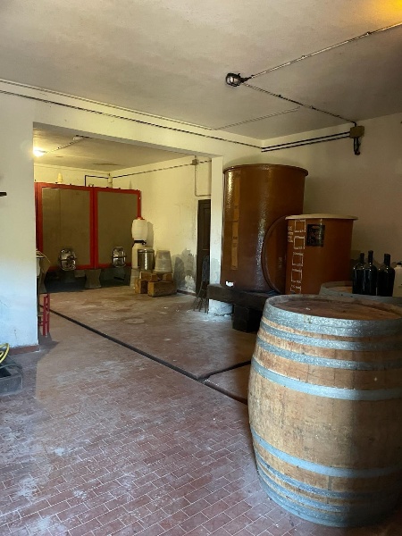 immagine annuncio 6 di 9