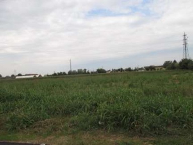 Foto Terreno agricolo in Via Milano, Treviglio di 5295 m² in vendita