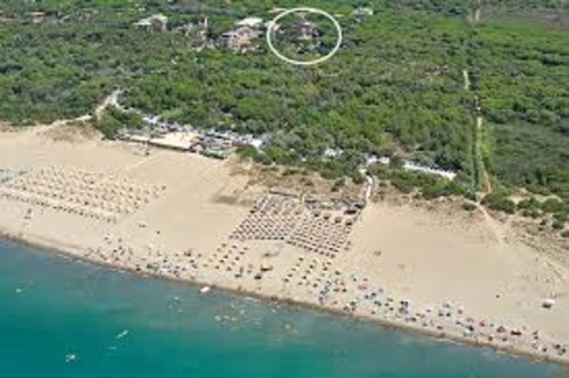 immagine annuncio 13 di 15