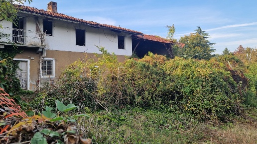 immagine annuncio 2 di 12