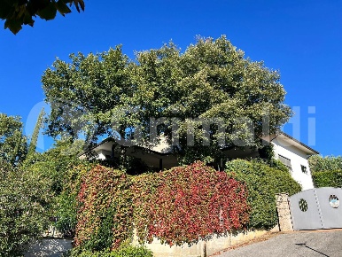 Foto Villa bifamiliare in assiano, Corciano Le Cupe di 350 m² con 5 locali