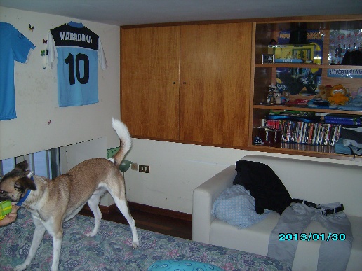 immagine annuncio 6 di 15