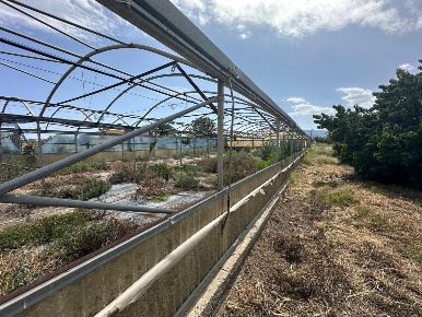 Foto Terreno agricolo in Via toledo snc, Milazzo Ponente di 3275 m²