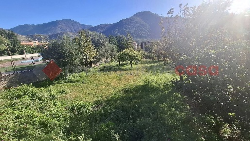Foto Terreno agricolo in Via torello snc, Siano di 1200 m² in vendita