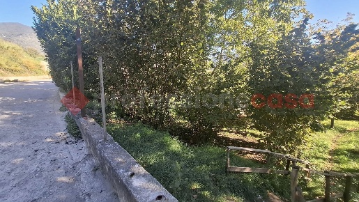 Foto Terreno agricolo in Via torello snc, Siano di 1200 m² in vendita