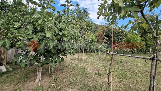 Foto Terreno agricolo in Via Chiumariello snc, Castel San Giorgio Centro