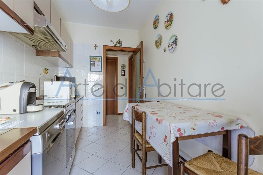 immagine annuncio 9 di 14
