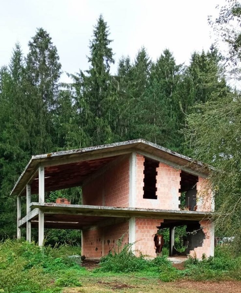 immagine annuncio 1 di 6