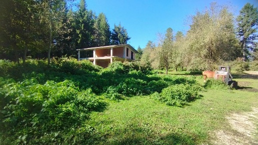 immagine annuncio 4 di 6