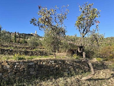 Foto Terreno edificabile a Imperia Piani, Torrazza di 4000 m² in vendita