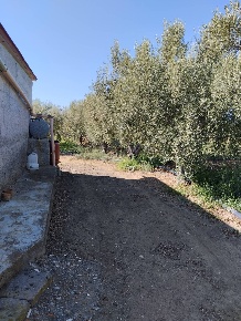 Foto Terreno agricolo a Ramacca di 21843 m² in vendita