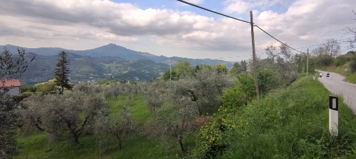 Foto Terreno agricolo in Rosara, Ascoli Piceno di 7500 m² in vendita