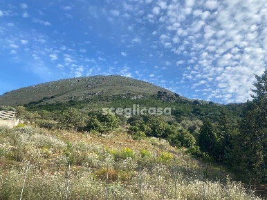 Foto Terreno industriale in Via michelangelo, Torretta Centro di 1854 m²