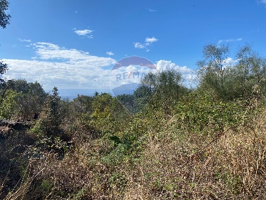 Foto Terreno agricolo in via del frassino, Ragalna di 1800 m² in vendita