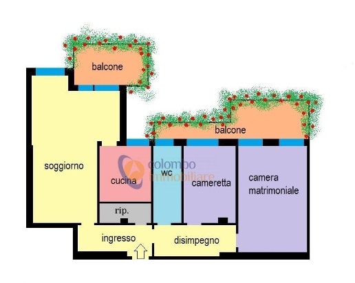 immagine annuncio 1 di 15