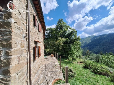 Foto Rustico in via del Masso, Londa di 278 m² con 10 locali in vendita