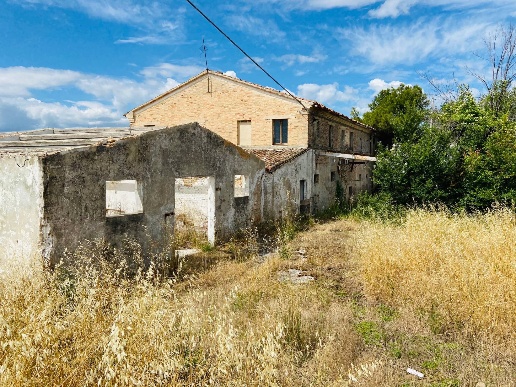 immagine annuncio 2 di 14