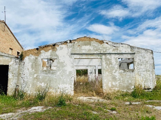 immagine annuncio 7 di 14