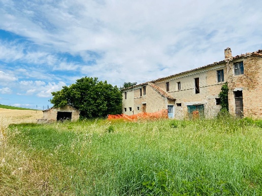immagine annuncio 9 di 14