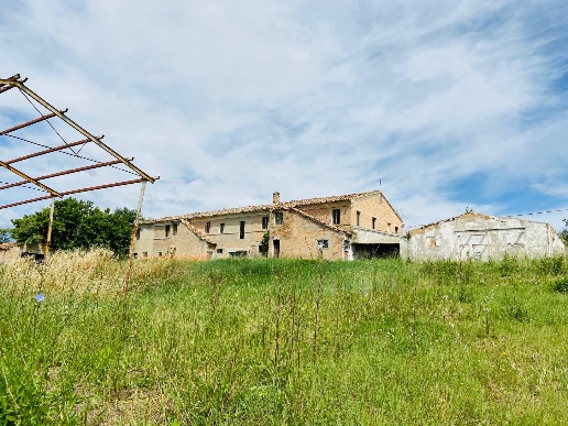 immagine annuncio 11 di 14