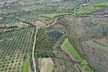 Foto Terreno agricolo a Usini di 10243 m² in vendita