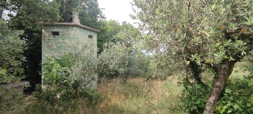 Foto Terreno agricolo a Ascoli Piceno di 37000 m² in vendita