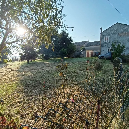 immagine annuncio 3 di 14