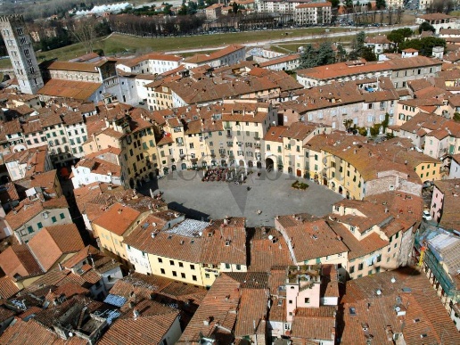immagine annuncio 9 di 14