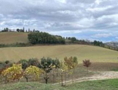 Foto Terreno agricolo in via Montebello, Montottone di 36120 m² in vendita