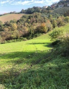 Foto Terreno agricolo in Via Vallino, Sogliano al Rubicone Centro