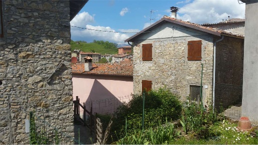 immagine annuncio 1 di 14