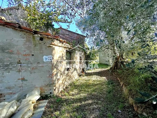 immagine annuncio 5 di 14