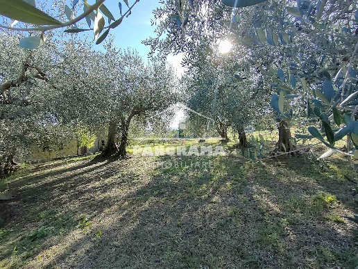 immagine annuncio 9 di 14