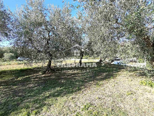 immagine annuncio 10 di 14