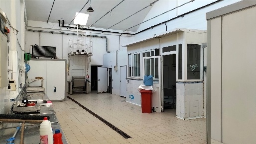 Foto Capannone industriale a Livorno Sorgenti di 590 m² con 5 locali