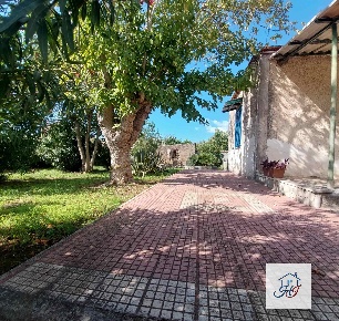 Foto Villa bifamiliare a Nettuno San Giacomo, Santa Barbara di 82 m²