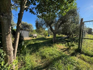 Foto Terreno agricolo in STRADA DELLA TRAPPOLA, Grosseto Casalone di 670 m²