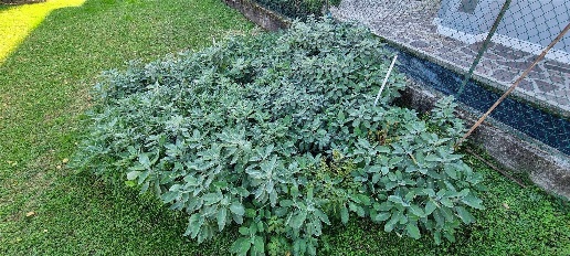Foto Villa bifamiliare in Via Monsignor Tognana, Quinto di Treviso