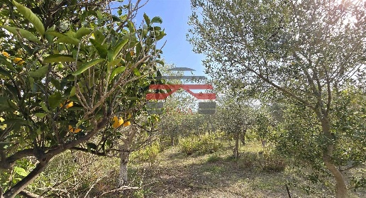 Foto Terreno edificabile in CONTRADA SERRA SCIROCCO, Trabia di 6000 m²