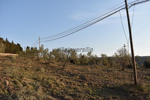 immagine annuncio 11 di 13