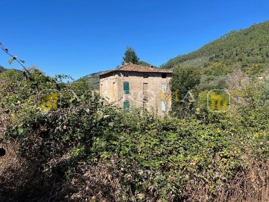 Foto Casale a Capannori Pieve di Compito - Sant'Andrea di Compito di 250 m²