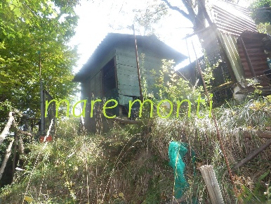 Foto Terreno agricolo in via cimavalle, Savona di 1660 m² in vendita